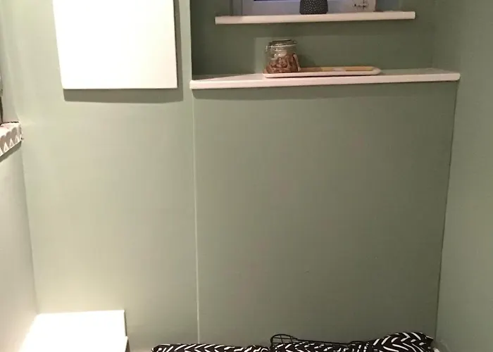 Cherry Tree ハロゲート